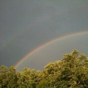 Laura Helvey's photo