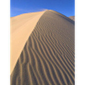 Anil Balla's photo
