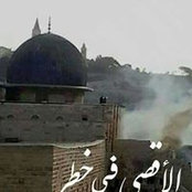 محمد محمد's photo