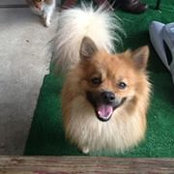 Boogaa Lu's photo