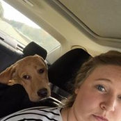 Becca Hallisey's photo