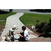 Luci Smith's photo