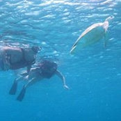 Bradley McInnis's photo
