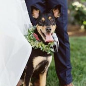 Leslie Rosenbaum's photo