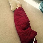 Cheryl Winn Oberer's photo