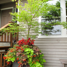 Heather's Fall Garden