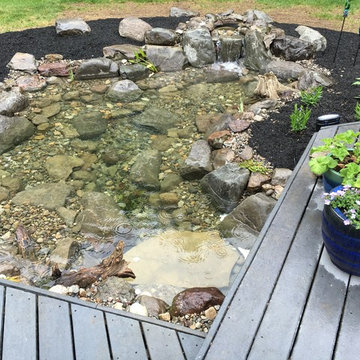 Out with the Old Pond in With The New
