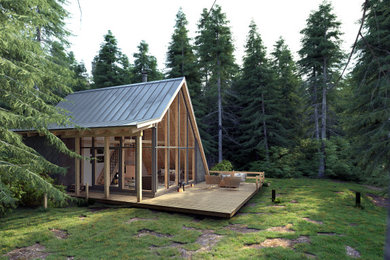 3D-Visualisierung Tinyhaus im Wald