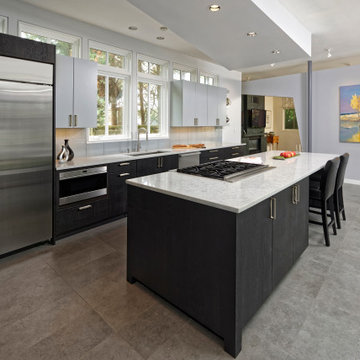 Contemporary in Chevy Chase