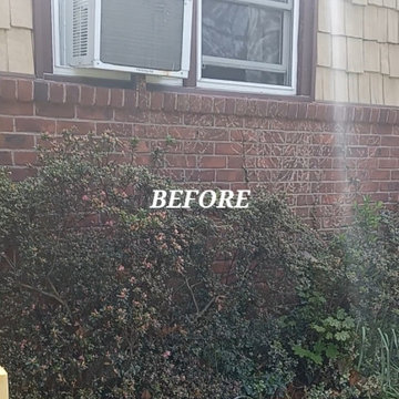 Cleanup and Mulching