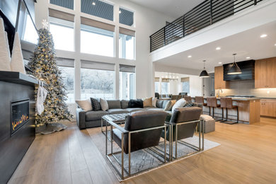 Example of a minimalist living room design in Salt Lake City