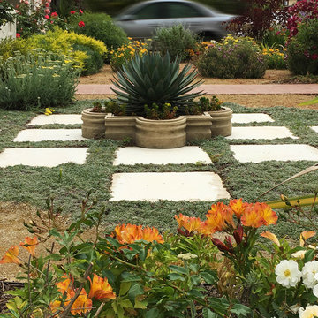 Vivacious Mediterranean Front Yard
