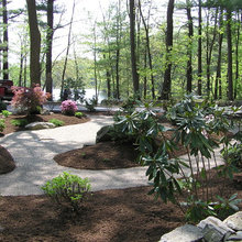 Backyard redo