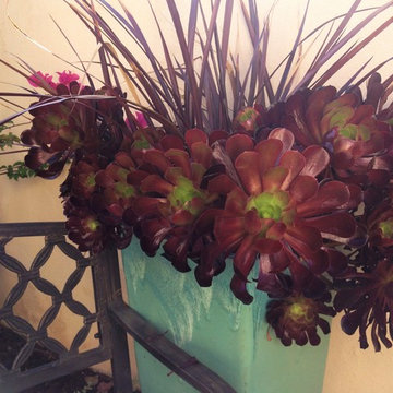 colorfull planter