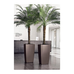 Modern Planter - Products