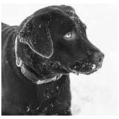 Foto de Erin Brodie-Bailey