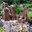 Aquatic Edge Pond & Landscape Solutions