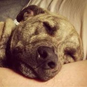 Loretta Day's photo