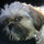 webuser_2830870