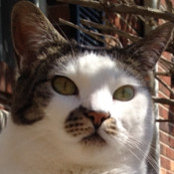 Ben Bocklage's photo