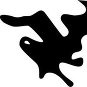 Sigridur Ardal's photo