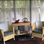 Lynn Morrison's photo