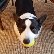 Annemarie Rothe's photo