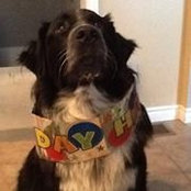 Cheryl Knowlton's photo