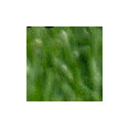 JAC'S LAWN CARE's profile photo