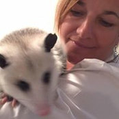 Ellen McMahon's photo