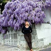 Елена Лысых's photo