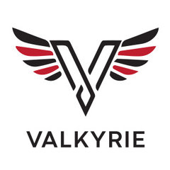 Valkyrie Investment Group Inc.