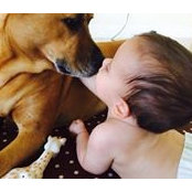 Lea Amitzy's photo