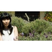Wenke Zhang's photo