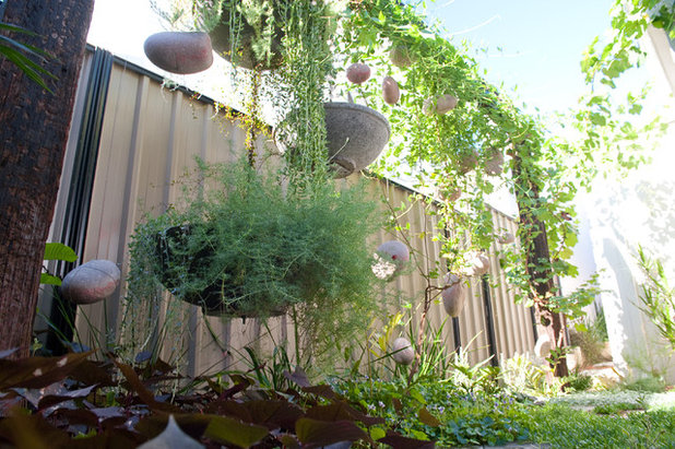 Фьюжн Сад by sustainable garden design perth