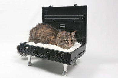 DIY Cat Bed Briefcase