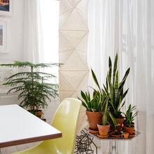 plants