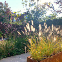 19 Gardens Where Grasses Are Key