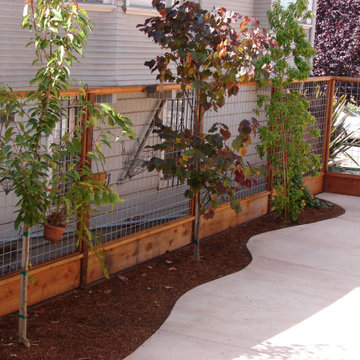 Hog Wire Fence with Screening Trees