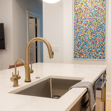 Andersonville Full Home Renovation