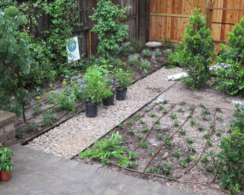 Backyard bird sanctuary