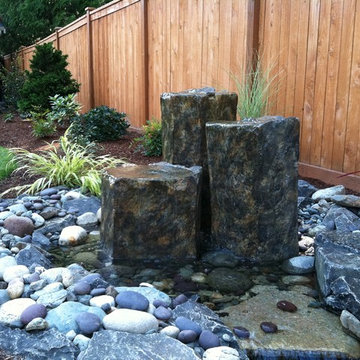 Edmonds Backyard