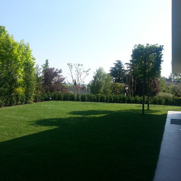 Contemporary garden