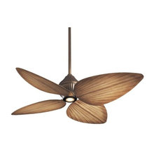 Ceiling Fans
