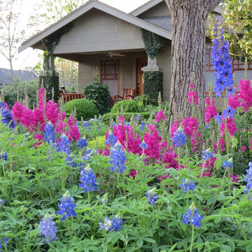 Zero Lawn Xeriscape
