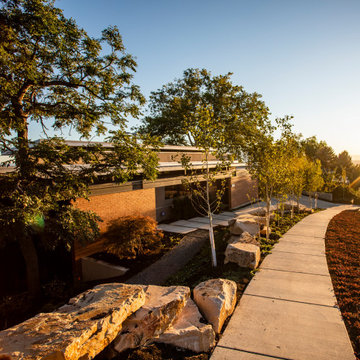 Modern Front Yard Landscaping