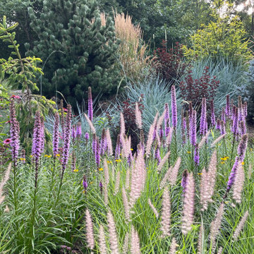 Mid-summer Color