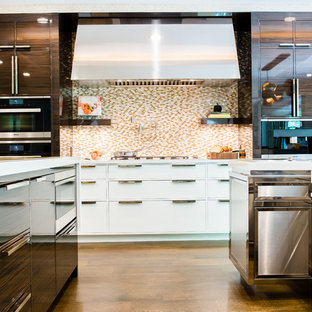 Cuisine Avec Une Facade En Inox Cleveland Photos Et Idees Deco