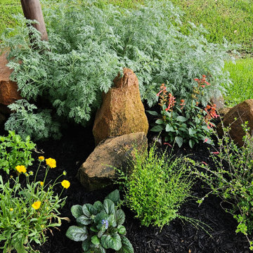 Horticulture Heaven in the Heights