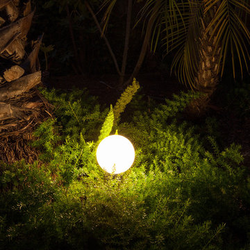 Home & Garden Collection